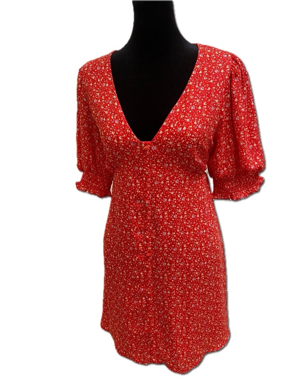 Sienna Sky Red Floral V-Neck Mini Dress